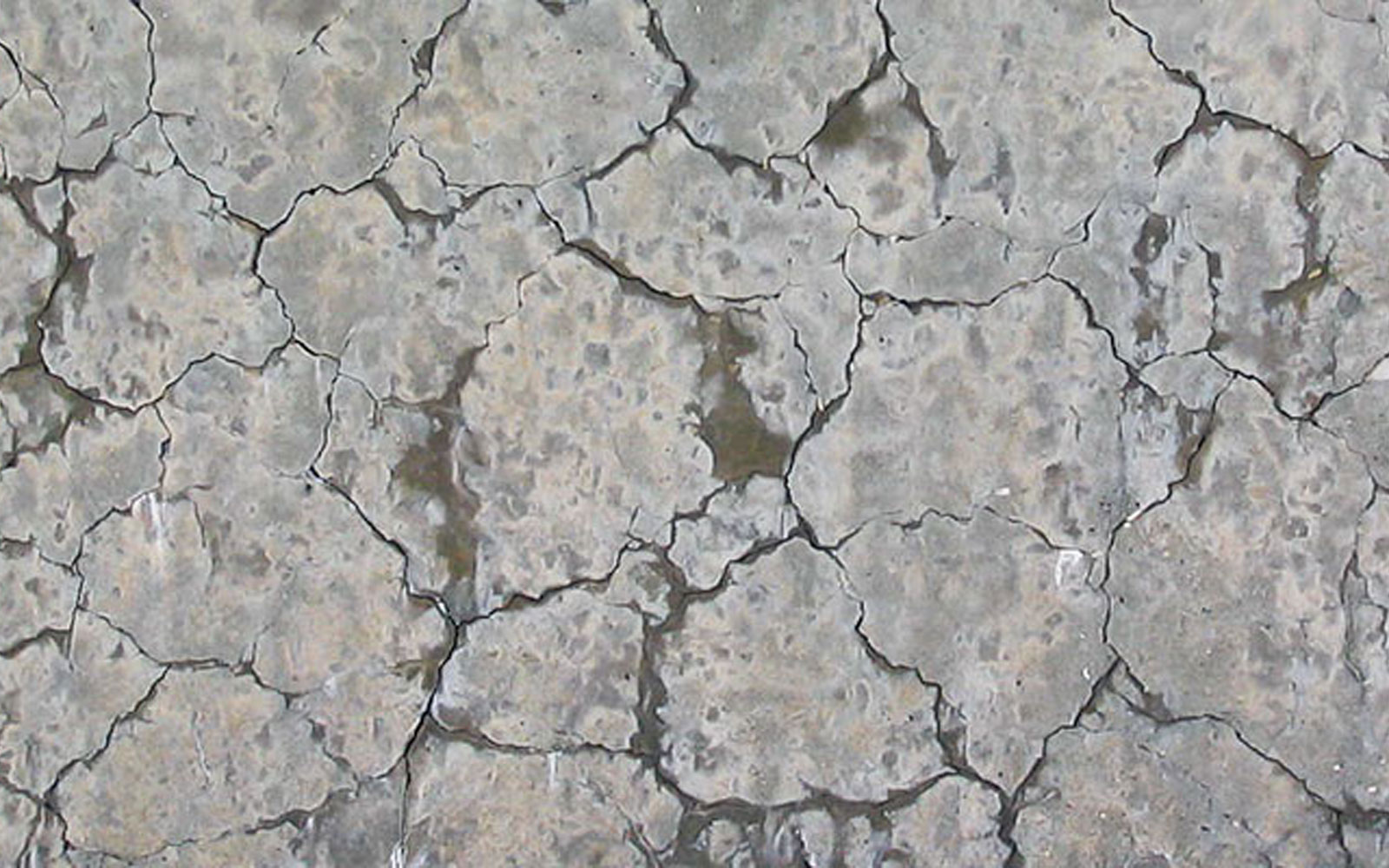 عوامل  موثر بر دوام بتن